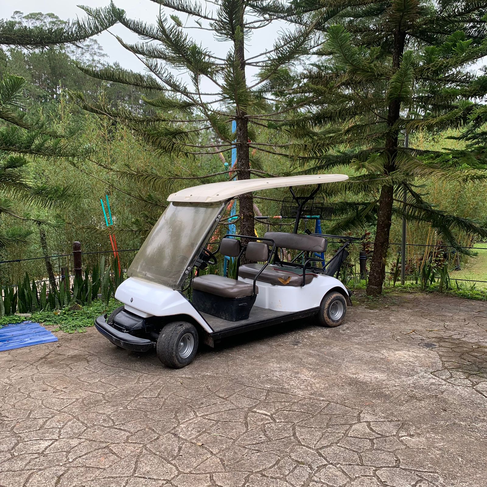 Golf Cart