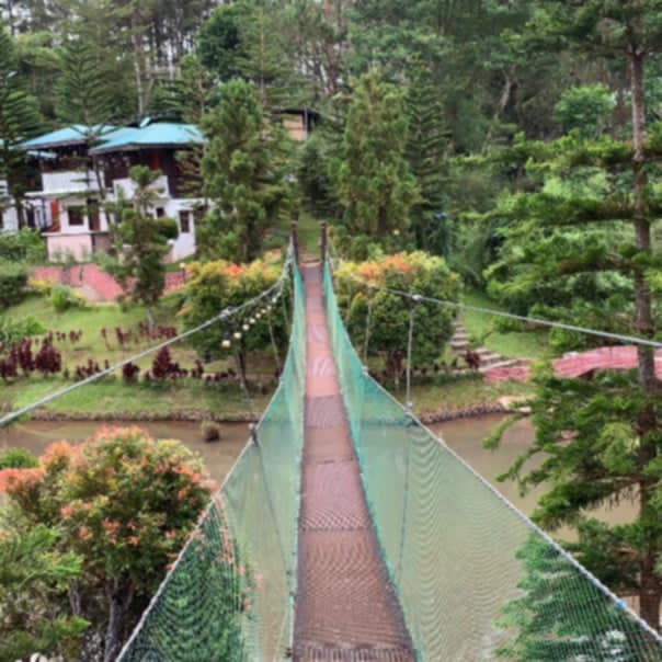 Hanging Bridge