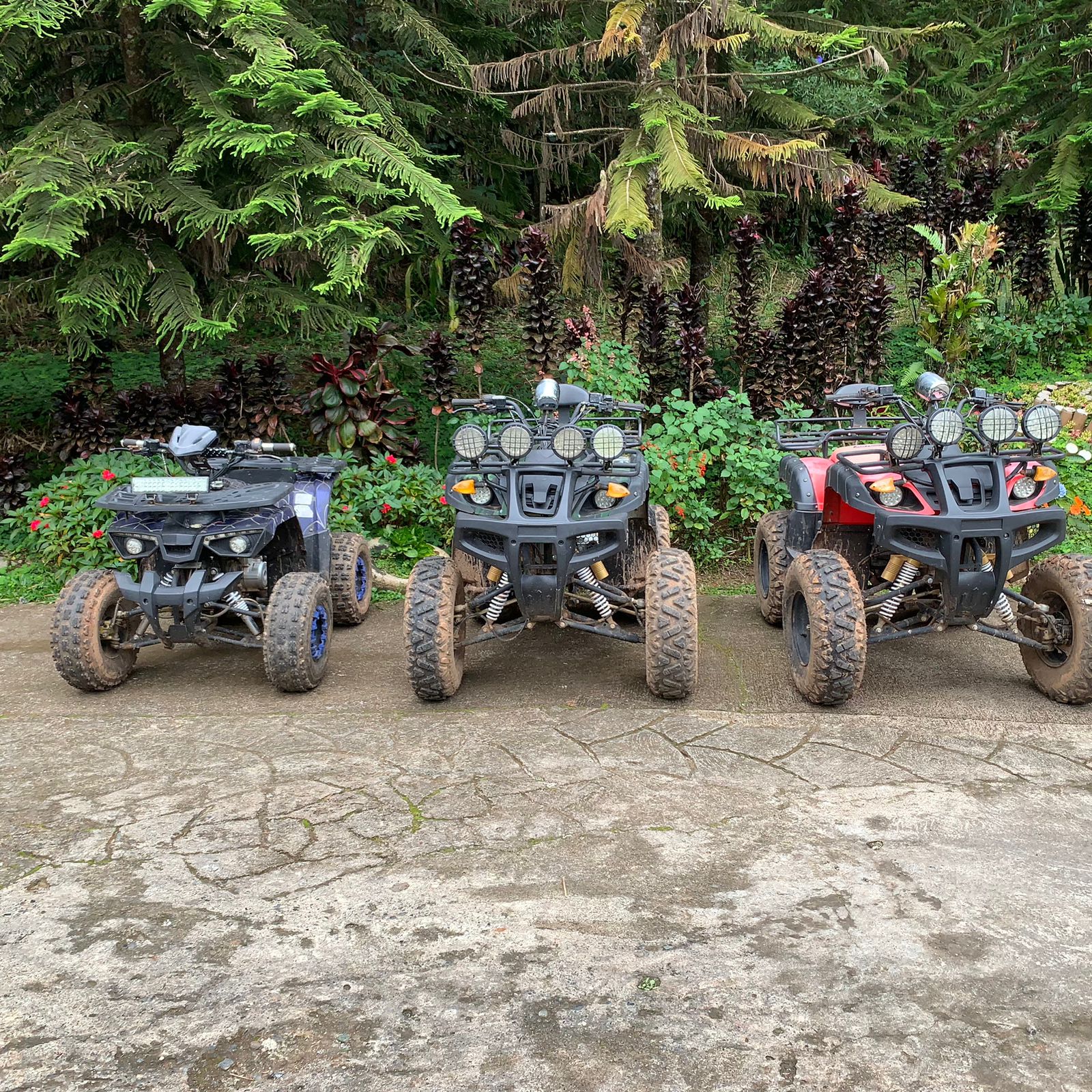 ATV